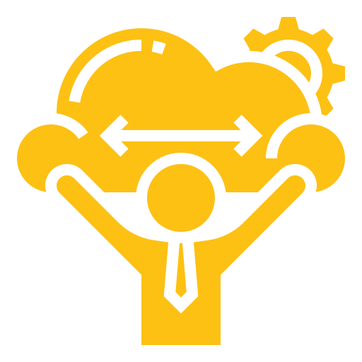 توانمندی های اجرایی